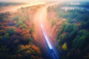 Aerial view of train in beautiful forest in fog at sunrise in autumn. Commuter train in fall. Colorful landscape with railroad, foggy trees with vibrant foliage, sunbeams. Top view. Railway station